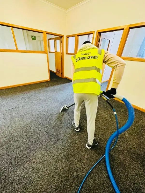 Steam carpet cleaning