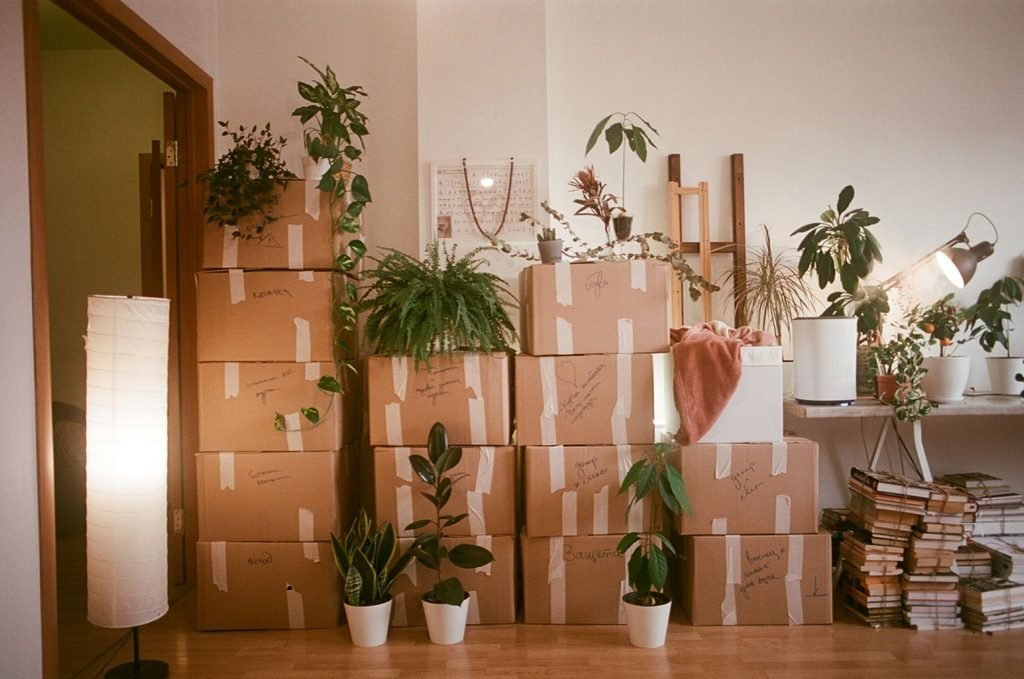 Labelled moving boxes prepared for moving day